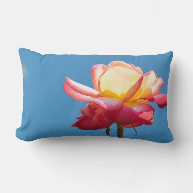 Blossom roze gele roos kussen (Voorkant)