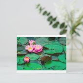 Blossom roze lotus op het Briefkaart van het meer (Staand voorkant)
