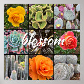Blossom Script Modern Cacti Rozen Patroon Foto Poster (Voorkant)