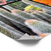 Blossom Script Modern Cacti Rozen Patroon Foto Poster (Hoek)