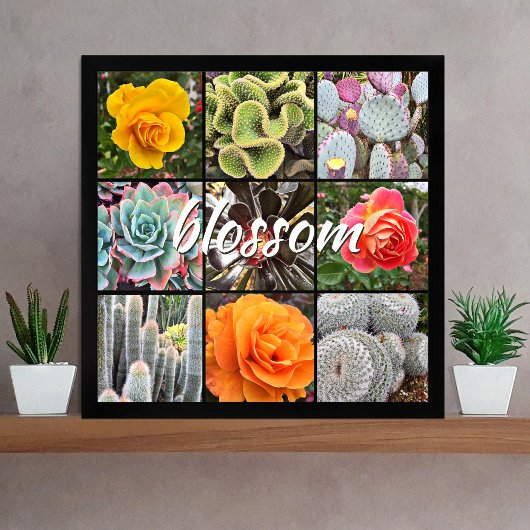 Blossom Script Modern Cacti Rozen Patroon Foto Poster