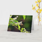 Blossom Scripture Kaart Psalm 119:103 (Gele Bloem)