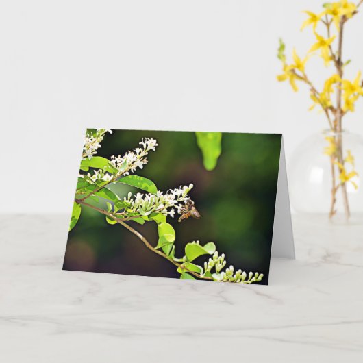 Blossom Scripture Kaart Psalm 119:103 (Gele Bloem)