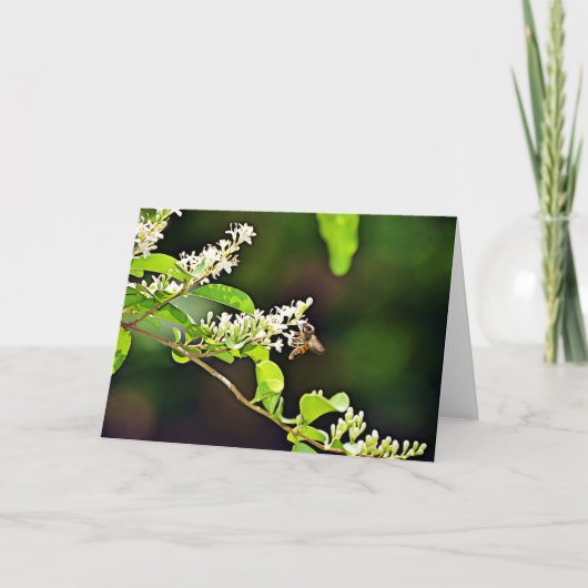 Blossom Scripture Kaart Psalm 119:103 (Voorkant)