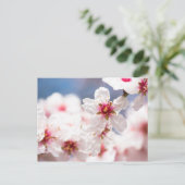 Blossom van de amandelboom briefkaart (Staand voorkant)