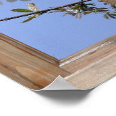 Blossom van een venster poster (Hoek)