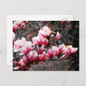 Blossom van Georgetown University, Washington, DC Briefkaart (Voorkant / Achterkant)