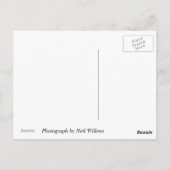 Blossom van Georgetown University, Washington, DC Briefkaart (Achterkant)