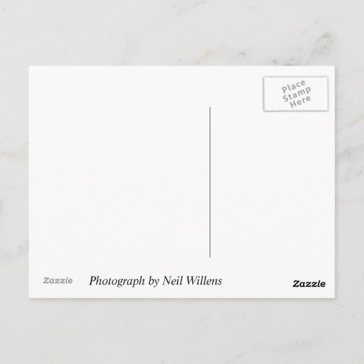 Blossom van Georgetown University, Washington, DC Briefkaart (Achterkant)