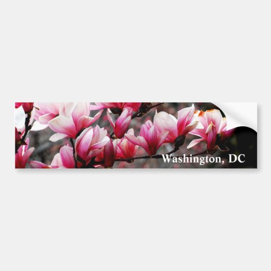 Blossom van Georgetown University, Washington, DC Bumpersticker (Voorkant)