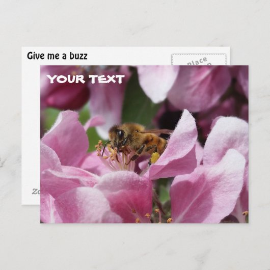 Blossom van honingbijen met roze krabappelboom briefkaart (Voorkant / Achterkant)