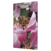 Blossom van honingbijen met roze krabappelboom klembord (Links)
