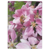 Blossom van honingbijen met roze krabappelboom klembord (Achterkant)
