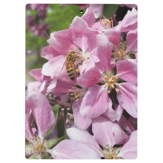 Blossom van honingbijen met roze krabappelboom klembord (Achterkant)