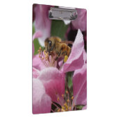 Blossom van honingbijen met roze krabappelboom klembord (Rechts)