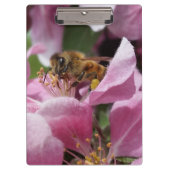 Blossom van honingbijen met roze krabappelboom klembord (Voorkant)