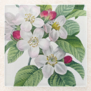 Blossom, van 'Les Choix des Plus Belles' Glazen Onderzetter