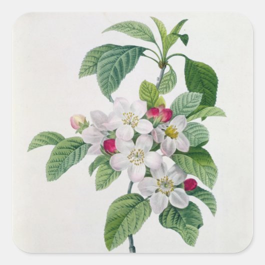 Blossom, van 'Les Choix des Plus Belles' Vierkante Sticker (Voorkant)
