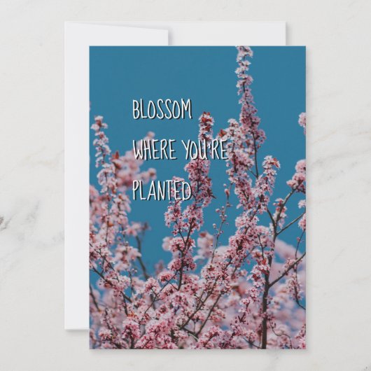 BLOSSOM WAAR GEPLANTEERD | Christelijke aanmoedigi (Voorkant)