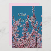 BLOSSOM WAAR GEPLANTEERD | Christelijke aanmoedigi (Voorkant / Achterkant)