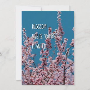 BLOSSOM WAAR GEPLANTEERD   Christelijke aanmoedigi