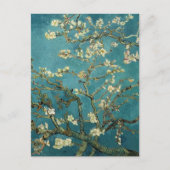Blossomalamandelboom - Van Gogh Briefkaart (Voorkant)