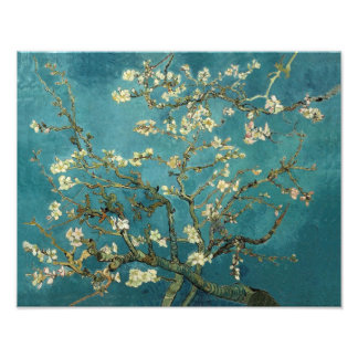 Blossomalamandelboom - Van Gogh Foto Afdruk