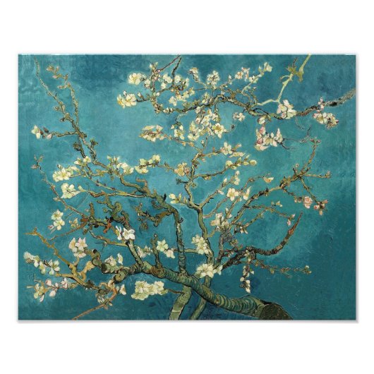 Blossomalamandelboom - Van Gogh Foto Afdruk (Voorkant)