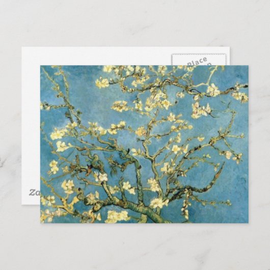 Blossomalamandelboom van Van Gogh Briefkaart (Voorkant / Achterkant)