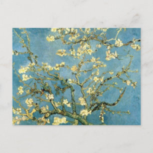 Blossomalamandelboom van Van Gogh Briefkaart