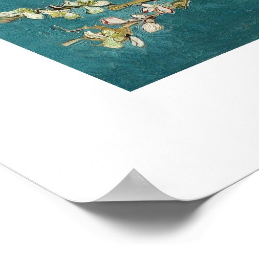 Blossomalamandelboom van Van Gogh Poster (Hoek)