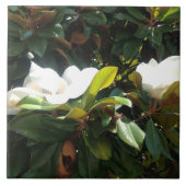 Blossomalische boom tegeltje (Voorkant)