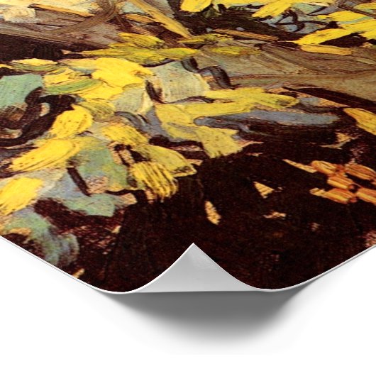 Blossombere Acacia Branches Van Gogh Fine Art Poster (Hoek)