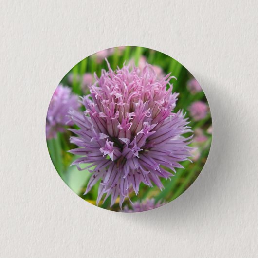 Blossombere Button (Voorkant)