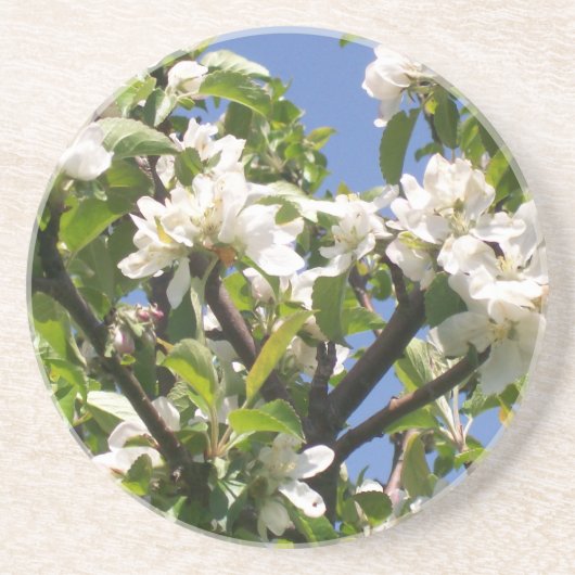 Blossombere Floral Branches - Onderzetter (Voorkant)