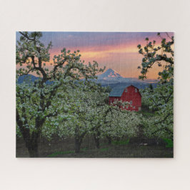 Blossombere peerboomgaard met Barn nabij de Hood Legpuzzel
