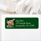 Blossomberende roze Lotus Flower Summer Etiket (Insitu)