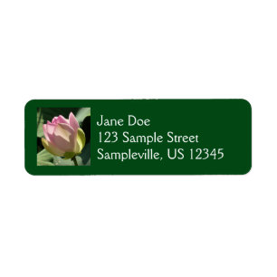 Blossomberende roze Lotus Flower Summer Etiket