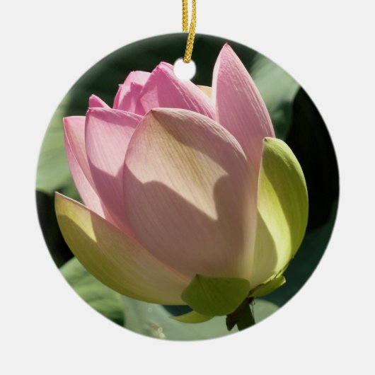 Blossomberende roze Lotus Flower Summer Keramisch Ornament (Voorkant)