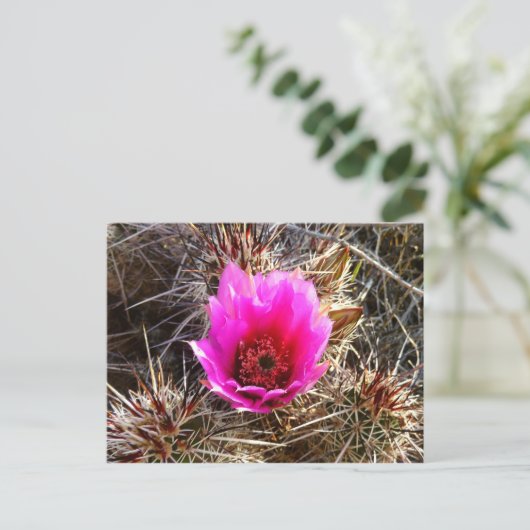 Blossomen Cactus (Prickly Pear) Wilde bloem Briefkaart (Staand voorkant)