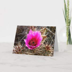 Blossomen Cactus (Prickly Pear) Wilde bloem Kaart