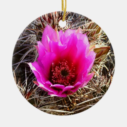 Blossomen Cactus (Prickly Pear) Wilde bloem Keramisch Ornament (Voorkant)