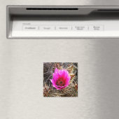 Blossomen Cactus (Prickly Pear) Wilde bloem Magneet (Insitu (Vaatwasser))