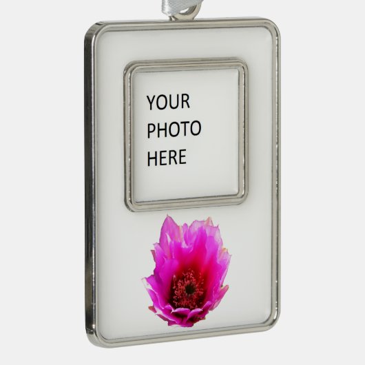 Blossomen Cactus (Prickly Pear) Wilde bloem Verzilverd Omlijst Ornament (Rechts)