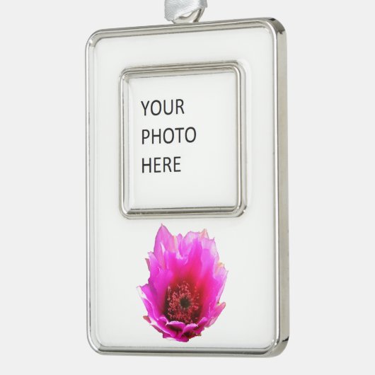 Blossomen Cactus (Prickly Pear) Wilde bloem Verzilverd Omlijst Ornament (Links)