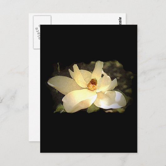 Blossomen Magnolia Briefkaart (Voorkant / Achterkant)