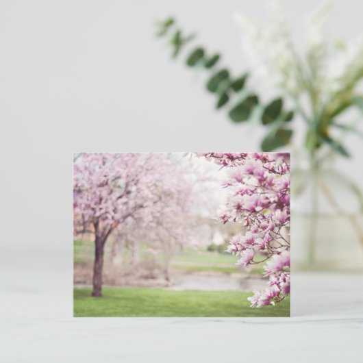 Blossomen Magnolia Trees Briefkaart (Staand voorkant)
