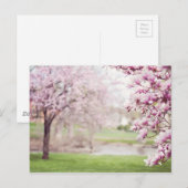 Blossomen Magnolia Trees Briefkaart (Voorkant / Achterkant)