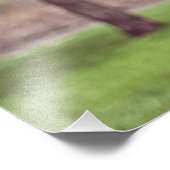 Blossomen Magnolia Trees Foto Afdruk (Hoek)