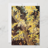 Blossoming Acacia Branches door Vincent van Gogh (Voorkant)